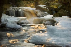 40  AO139-Bicknell-Brook.jpg